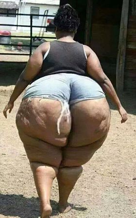 Pictures Of Big Fat Asses 39